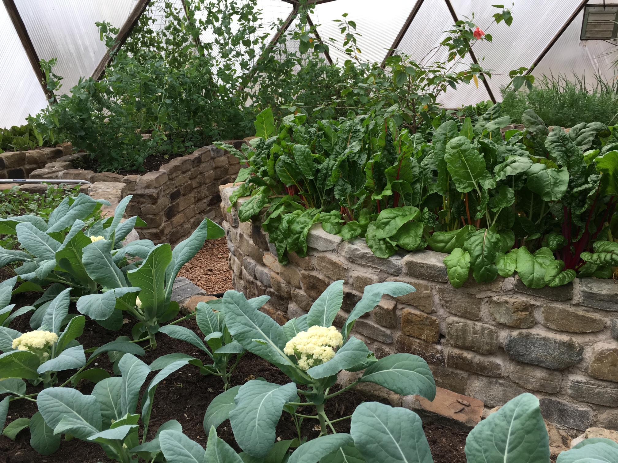 Handmade stone raised beds inside a 33-foot Growing Dome