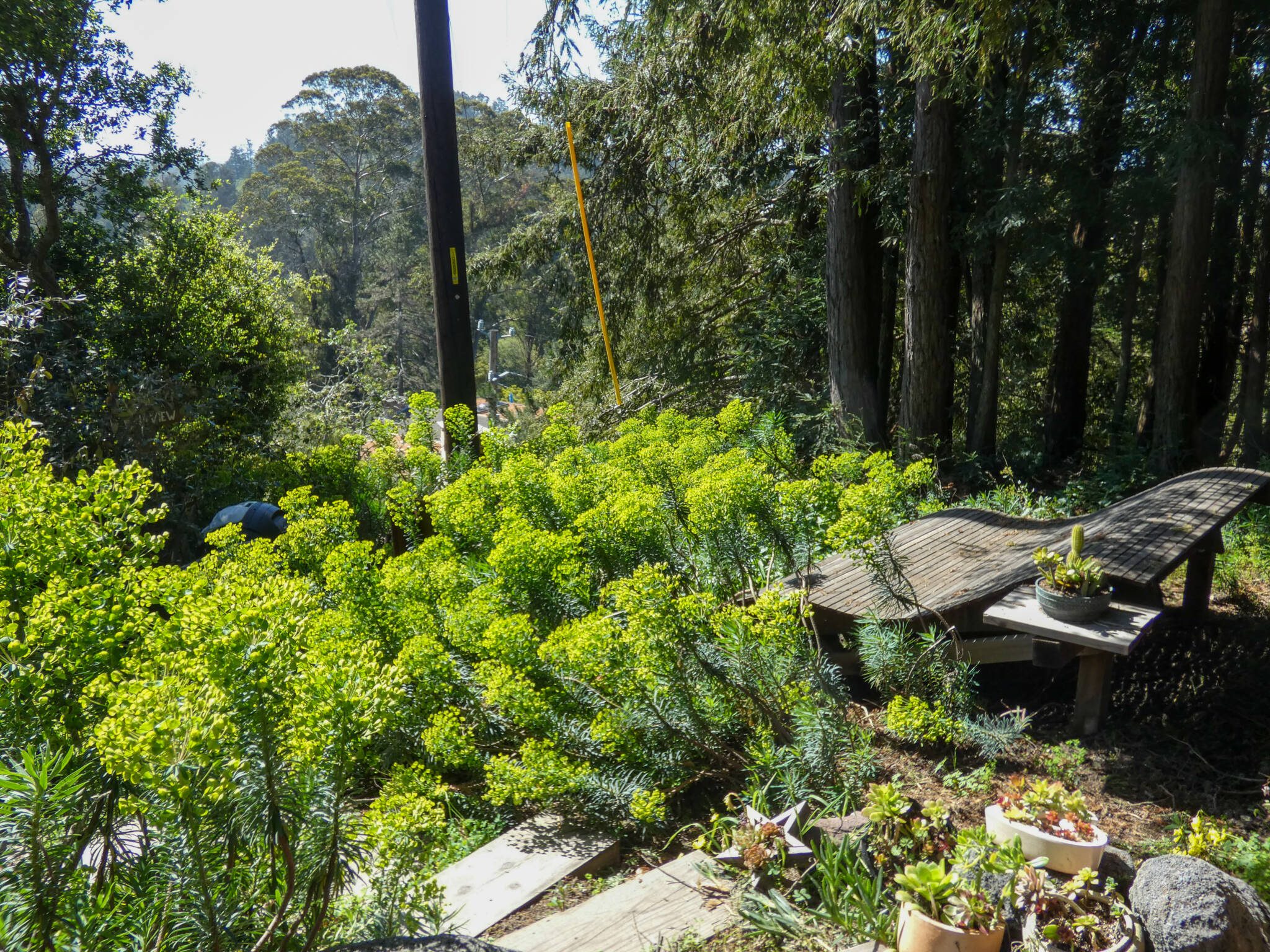 Hillside Hangout on Modern Homestead