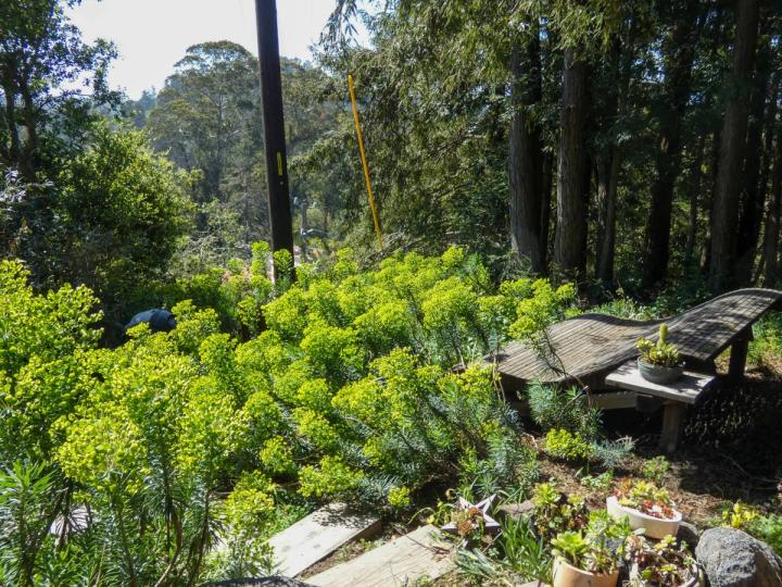 Hillside Hangout on Modern Homestead