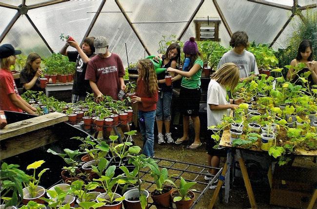 Children exploring and learning in a growing dome greenhouse at their school