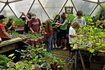children planting seedlings in a growing dome greenhouse