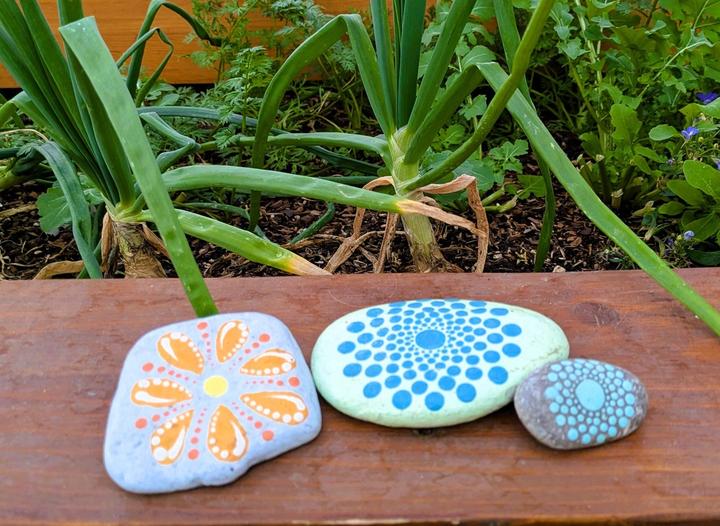hand painted rocks on a raised garden bed rail with onions growing in the background