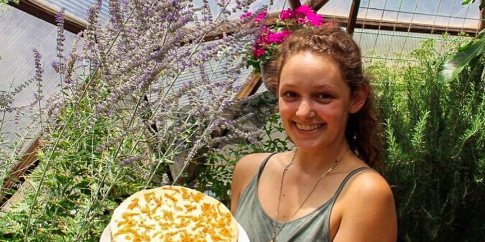 Not a Vegan Carrot Cake image
