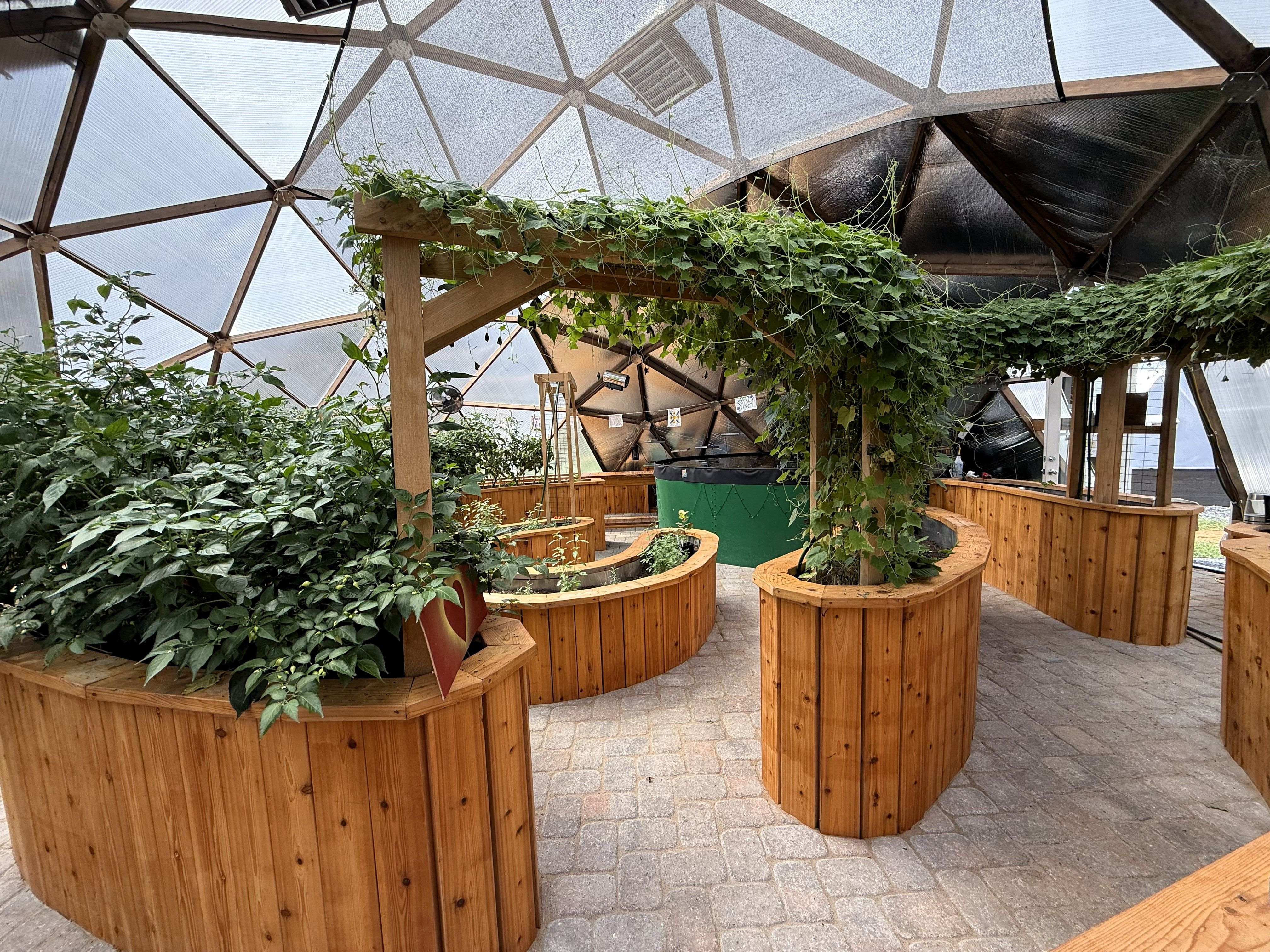 Kula Kamala raised beds in the greenhouse are rounded wooden beds with arbors supporting vines spanning between them