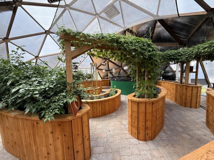 Kula Kamala raised beds in the greenhouse are rounded wooden beds with arbors supporting vines spanning between them