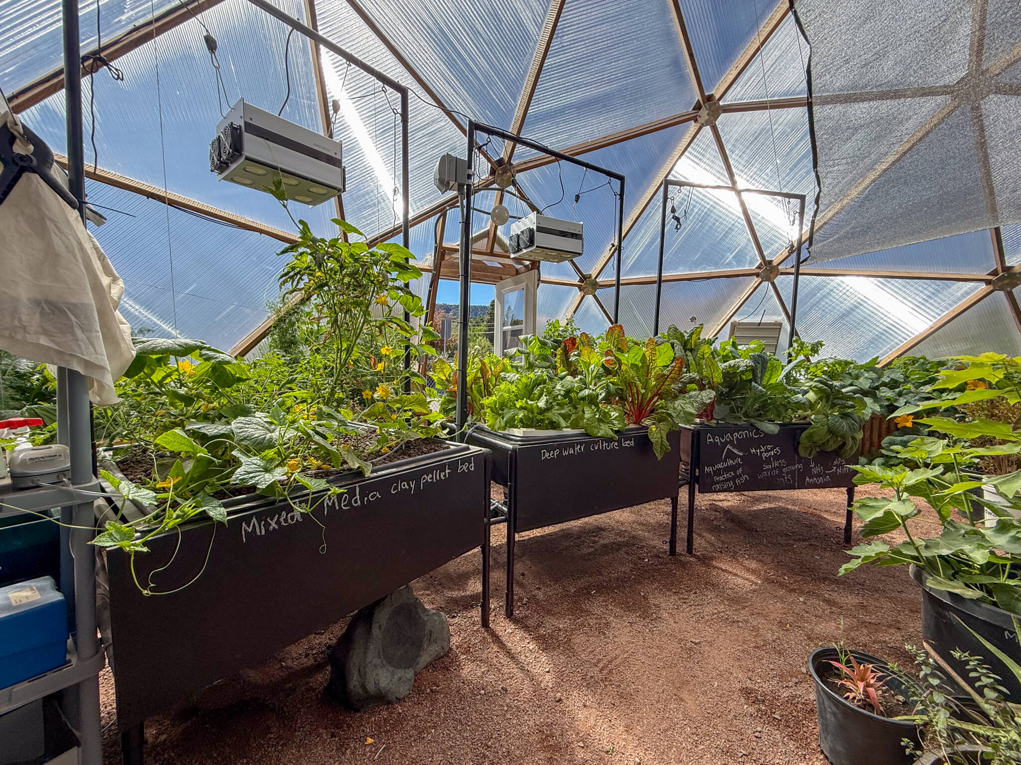 Aquaponics beds with thriving greenery in a 42' Growing Dome Greenhouse
