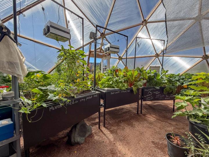 Aquaponics beds with thriving greenery in a 42' Growing Dome Greenhouse