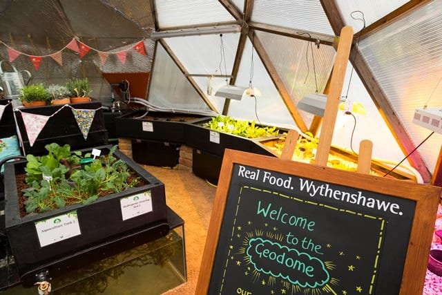 the manchester college community greenhouse