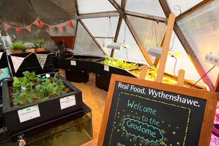 the manchester college community greenhouse
