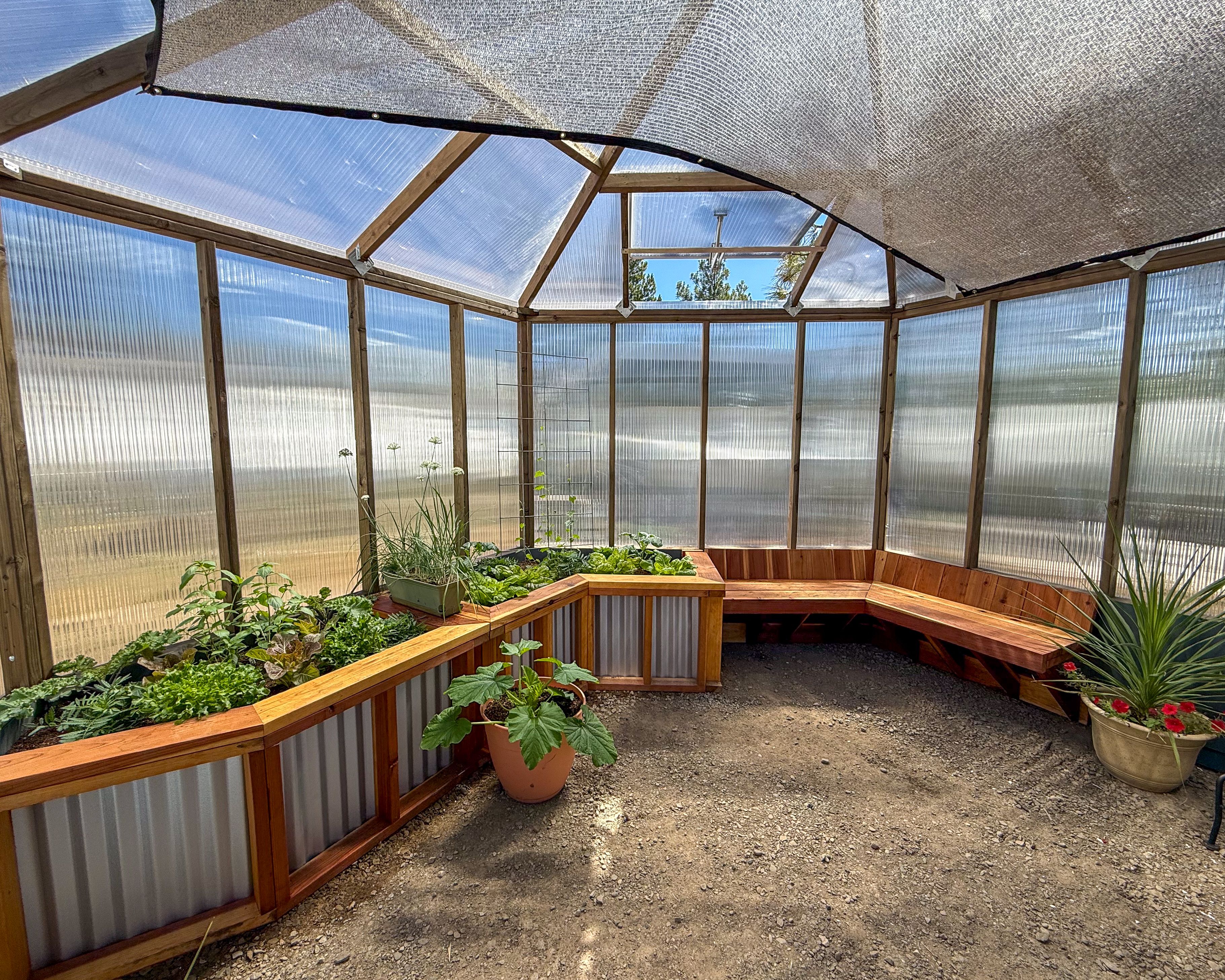 Interior of a hexagonal greenhouse with corrugated garden beds filled with plants and redwood bench