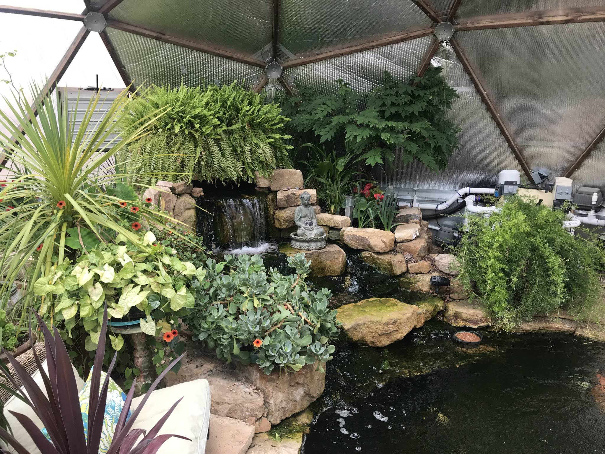 custom pond