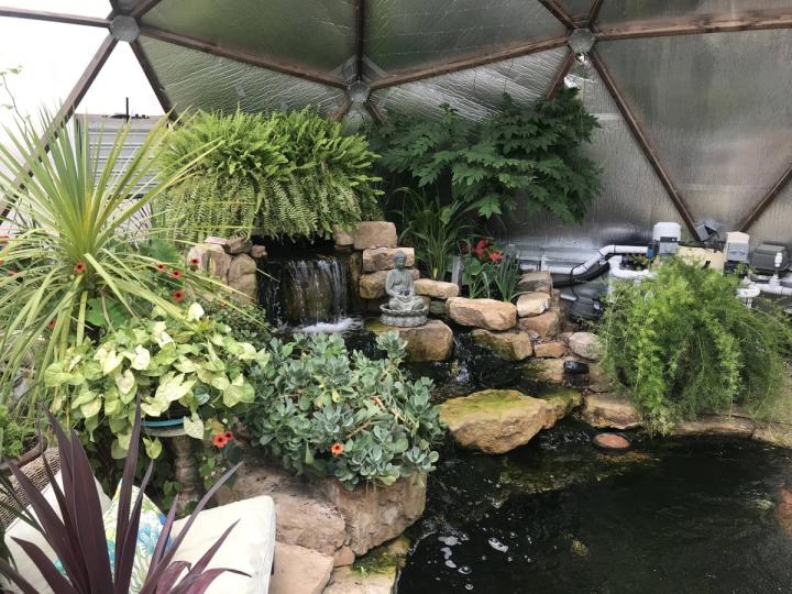 custom pond
