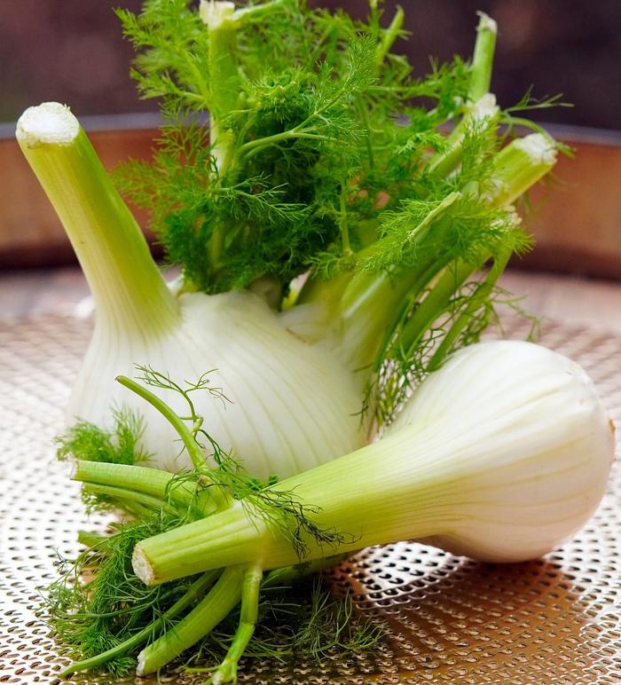 harvested fennel - Pixaby image