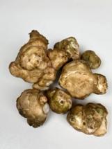 Sunchoke aka Jerusalem artichoke