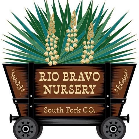 Rio Bravo Nursery logo