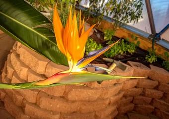 Screen Shot 2019-11-25 at 3.25.48 PM