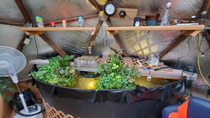 greenhouse automation surrounding above ground pond