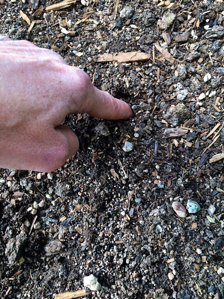 Healthy Soil Test