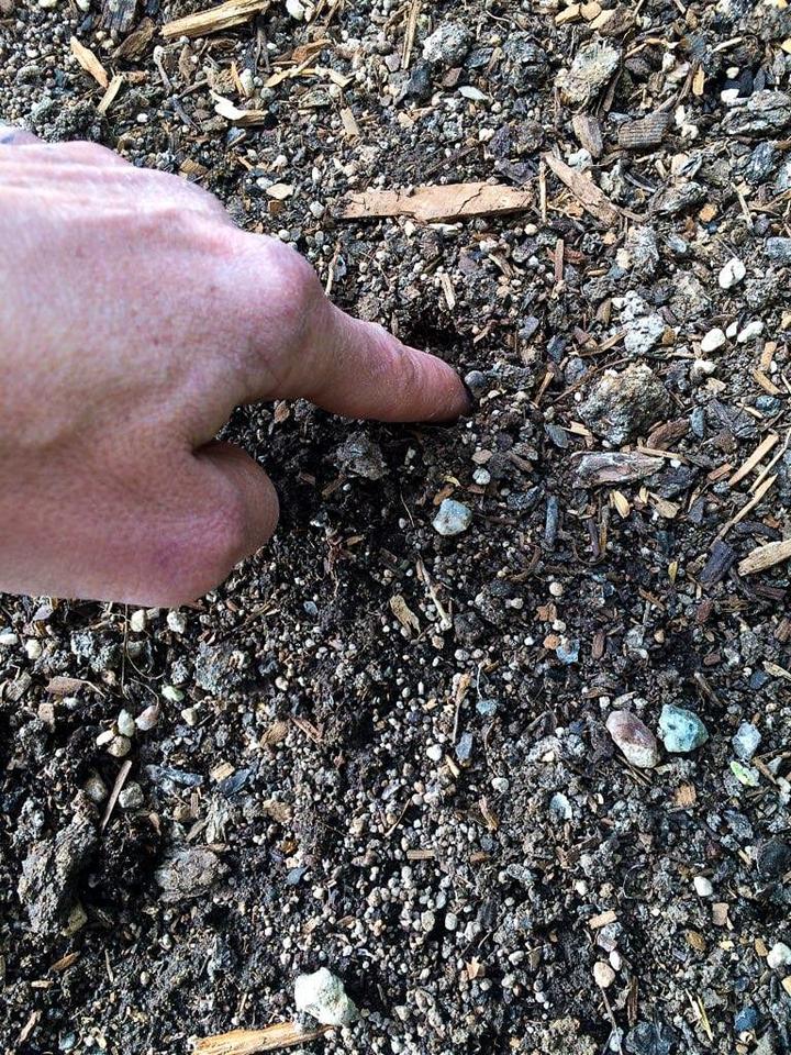 Healthy Soil Test