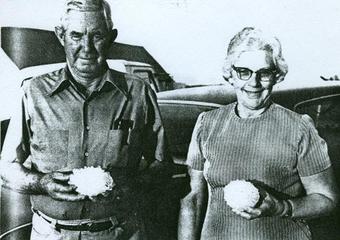 best greenhouse covering 2