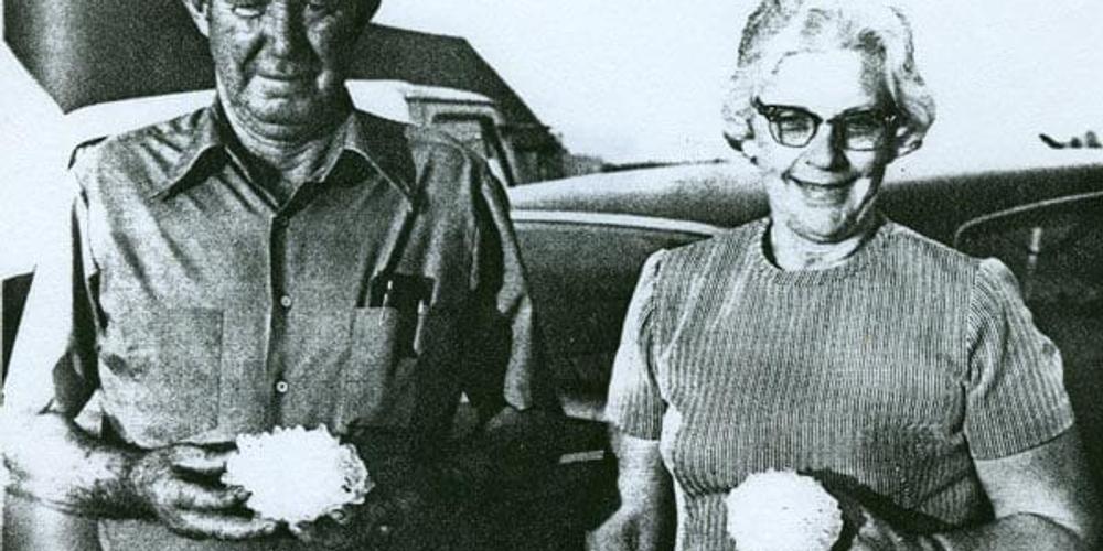 best greenhouse covering 2