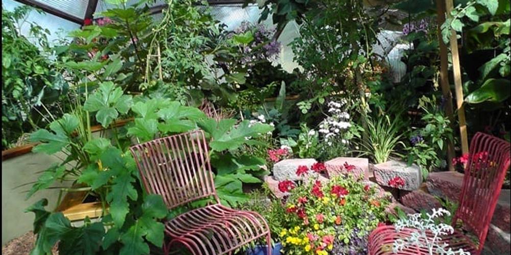 the growing food revolution