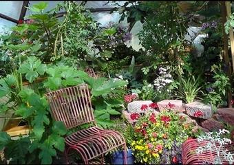 the growing food revolution