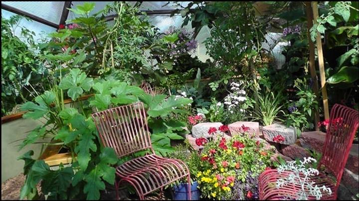 A food forrest inside a growing dome greenhouse