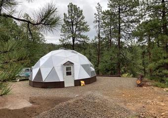 From Novice to Green Thumb: The McKibbens’ Colorado Greenhouse Success image