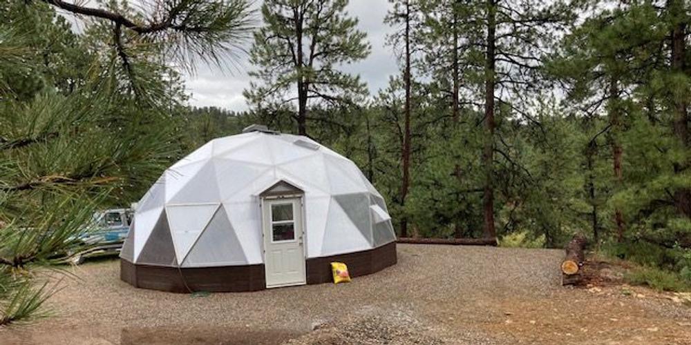 From Novice to Green Thumb: The McKibbens’ Colorado Greenhouse Success image