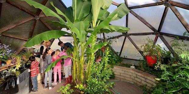 DurangoHerald111813_blog