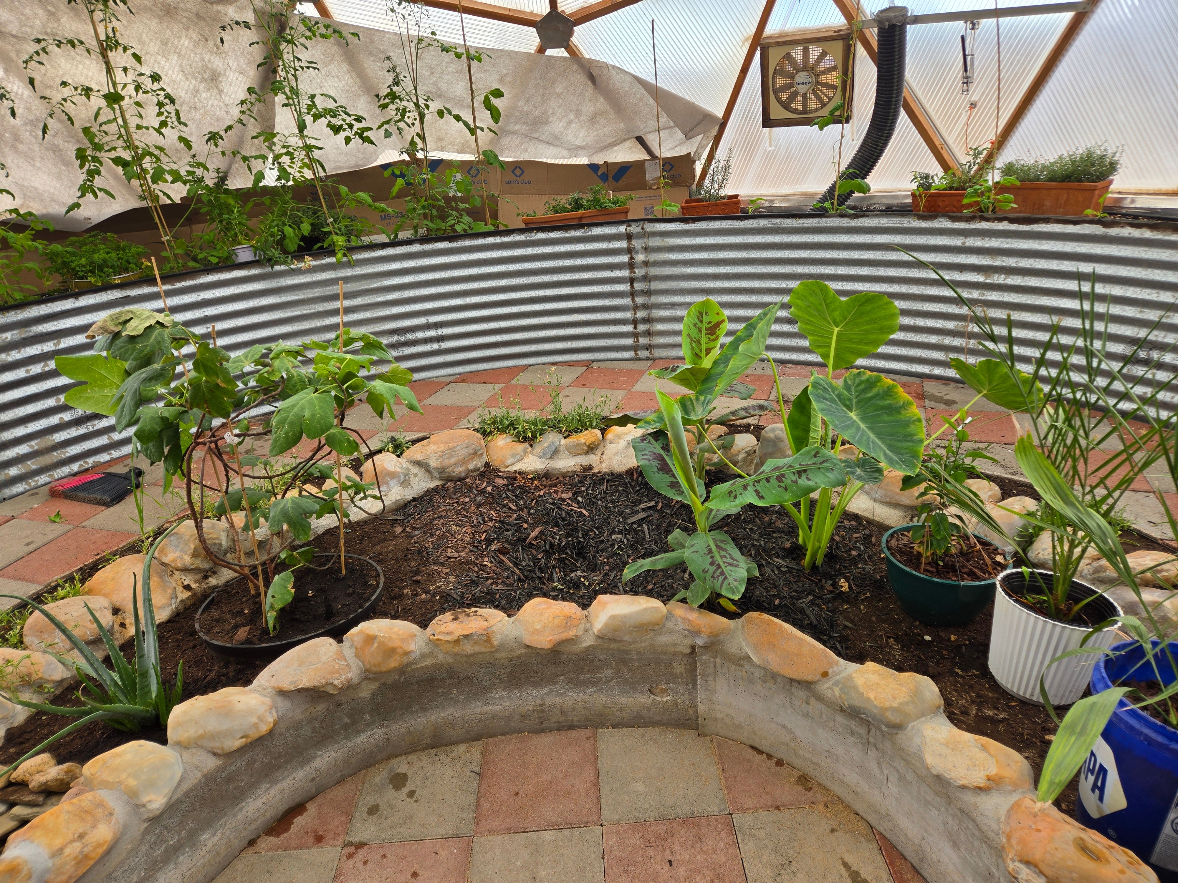 center crescent-shaped raised bed lined with stones with corrugated metal beds in the background in a geodesic greenhouse