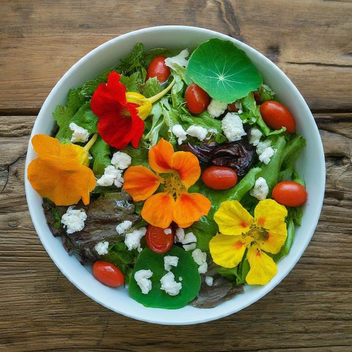 salad topped with nasturtium leaves and flowers