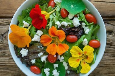 Salad image