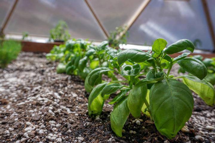 soil that is not hydrophobic