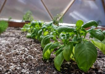 Hydrophobic Soil and How to Fix It image