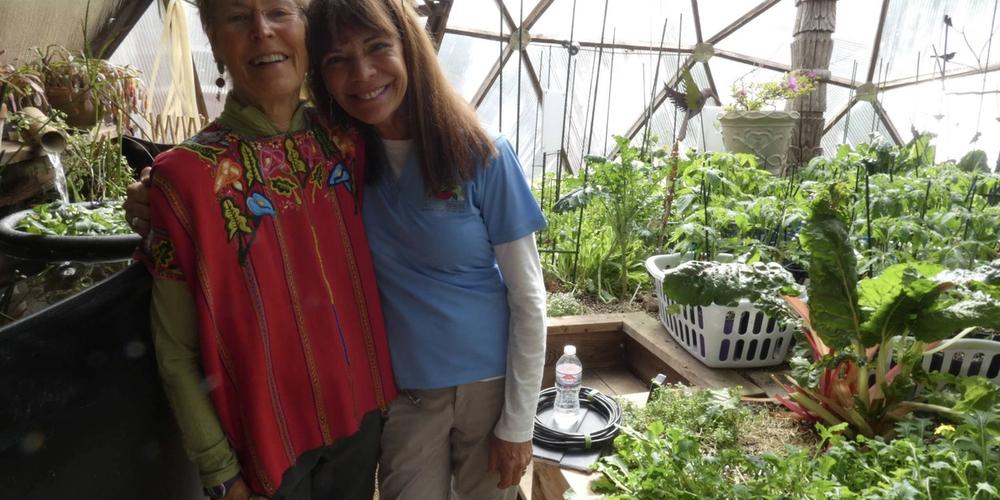 Cleaning Greenhouse Panels image