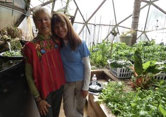 Cleaning Greenhouse Panels