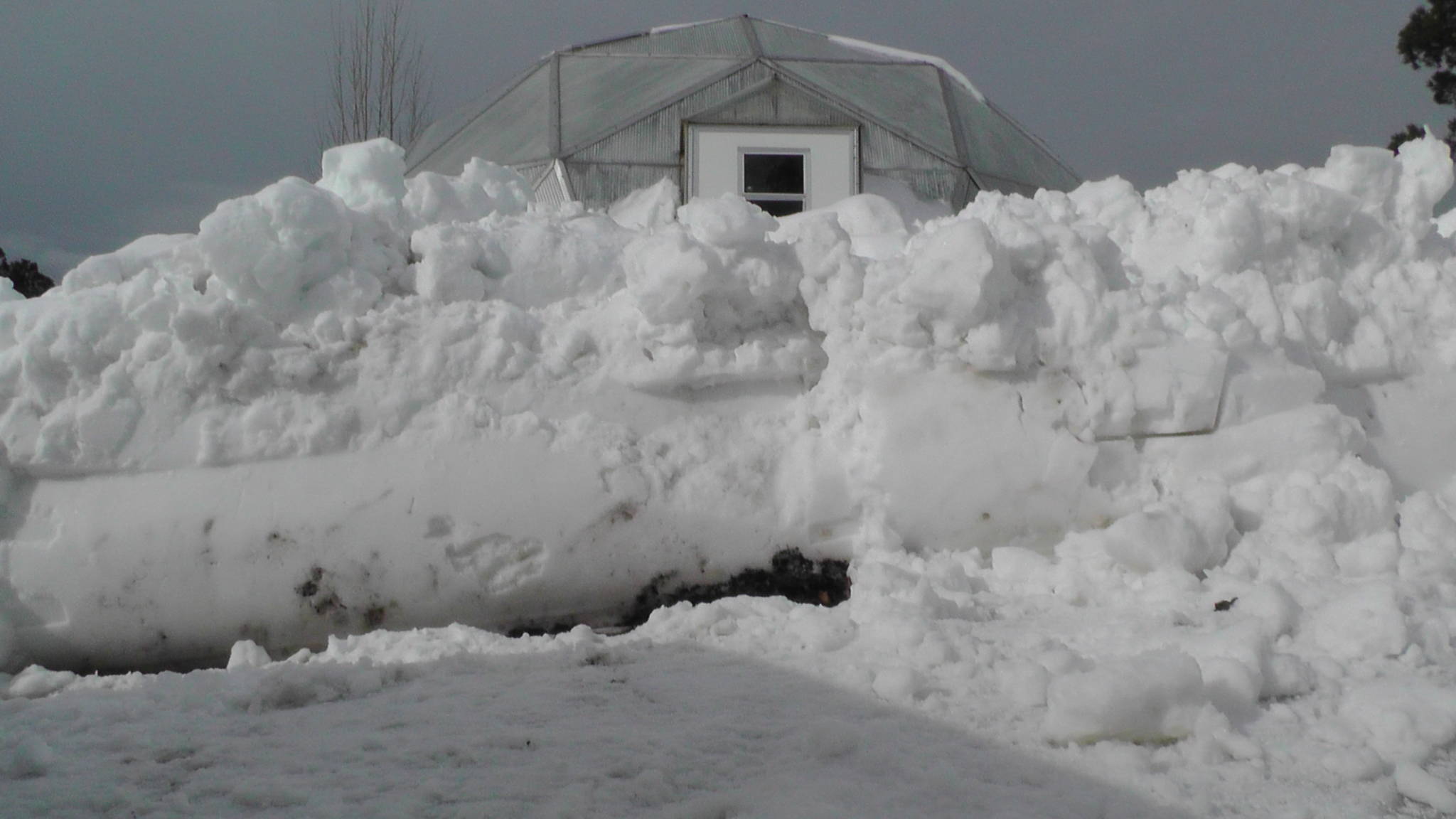 gardening in the snow
