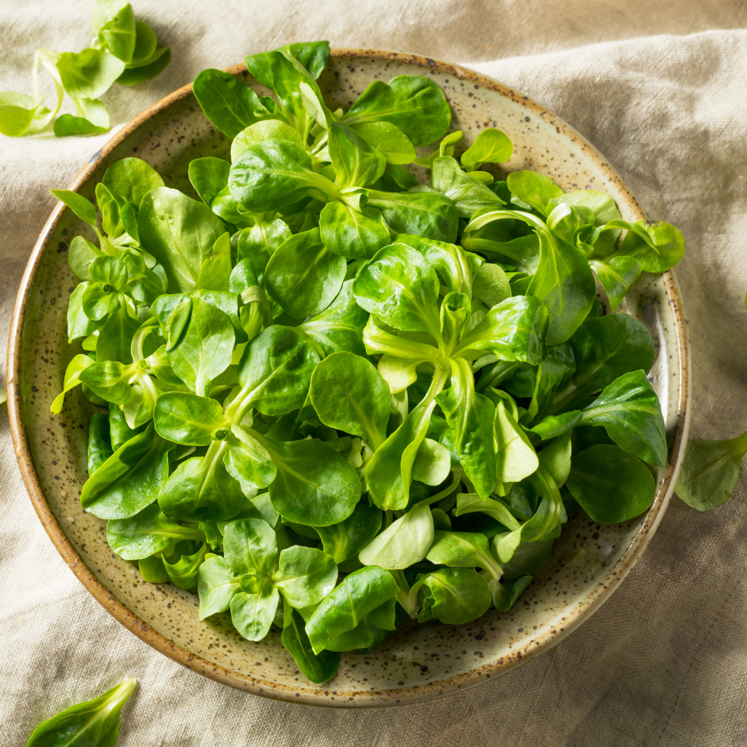 mache salad greens in a stoneware bowl on a linen towel