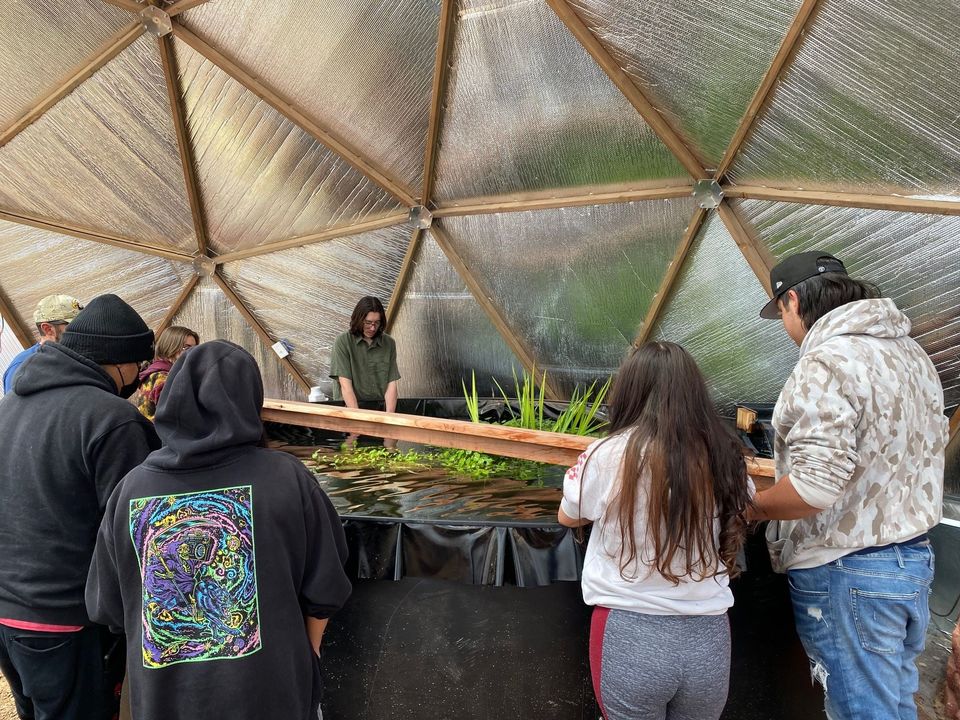 Students in a greenhouse