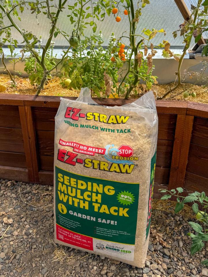 Bag of EX-Straw with tack in front of a garden bed with orange tomatoes