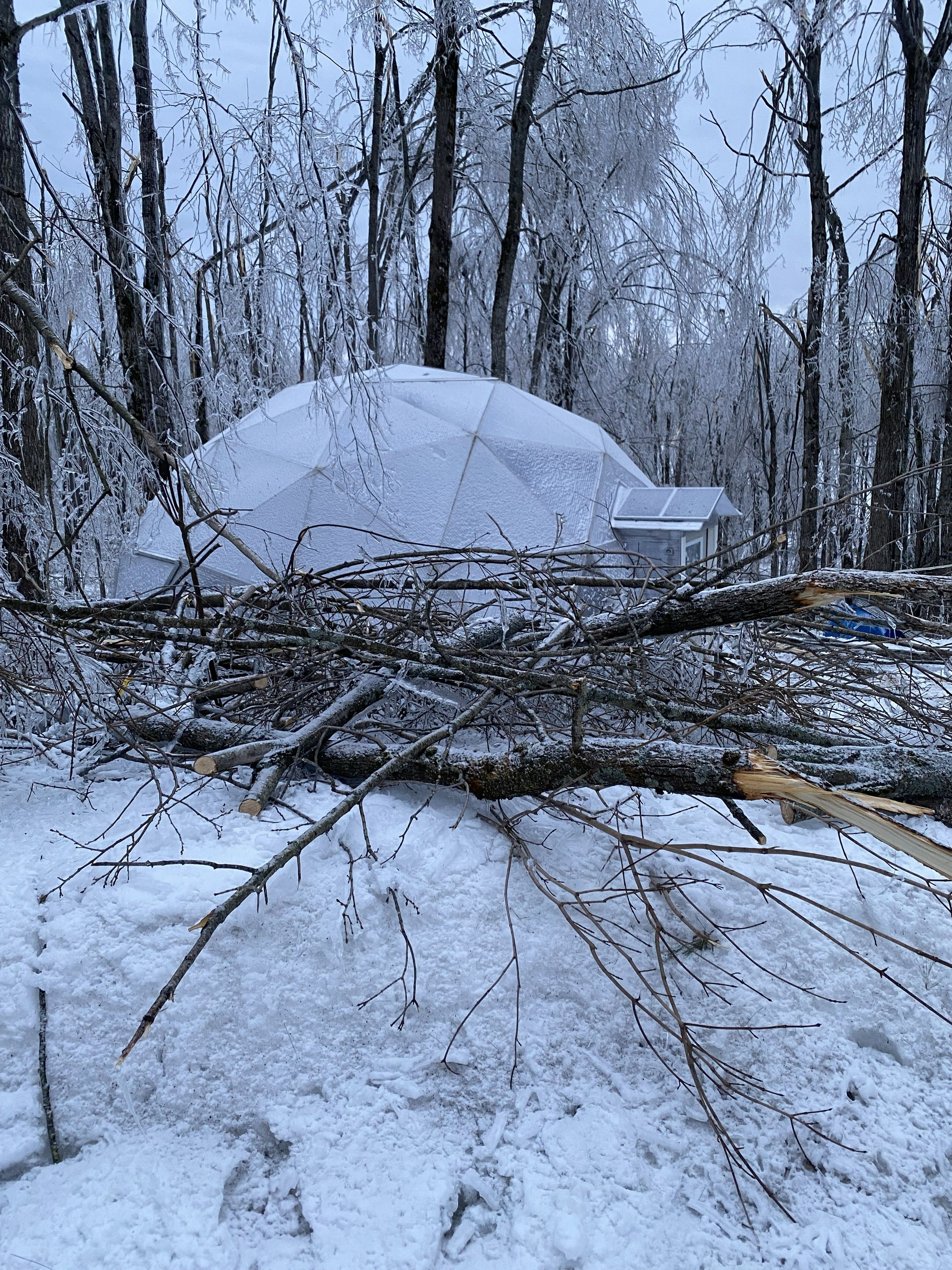 Growing Dome standing among fallen trees after a Northern Michigan ice storm