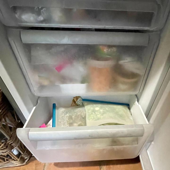 bottom freezer with the door open and a drawer pulled out to show bags and containers of food frozen for later use