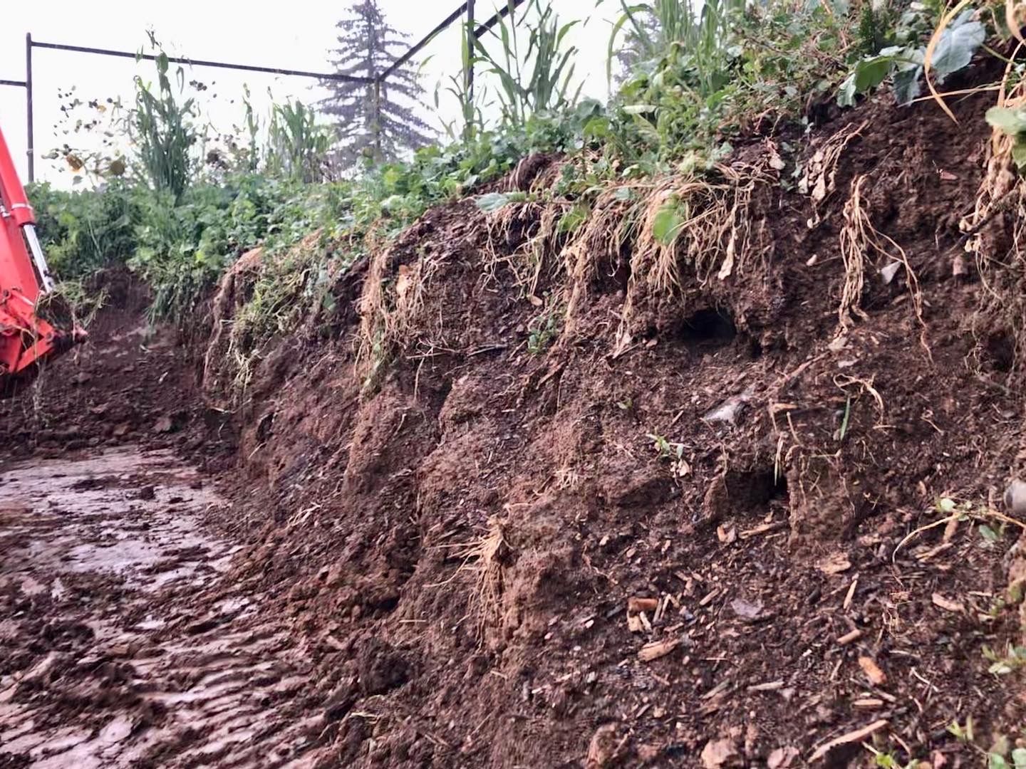 Native soil rich in organic material