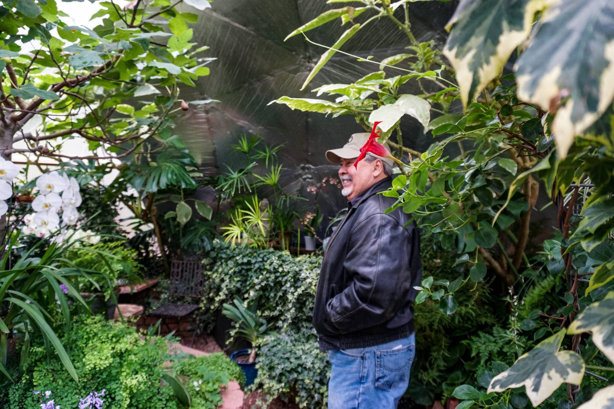 Man standing in a lush forest garden in a growing dome greenhouse