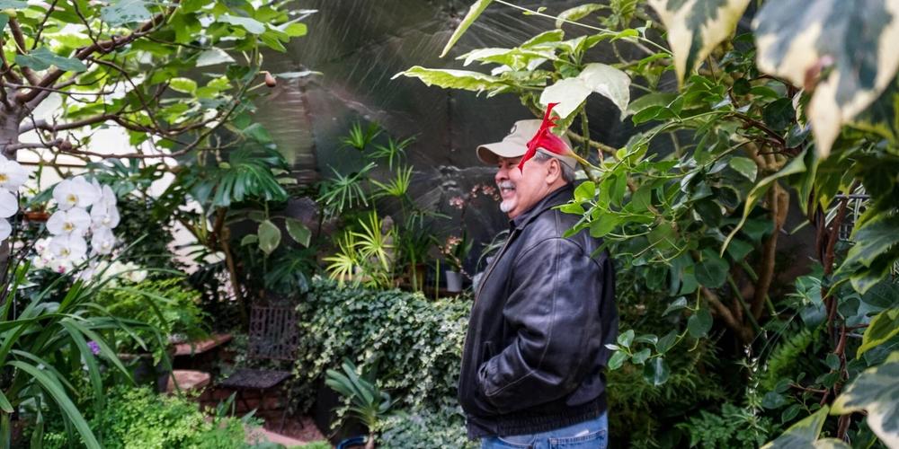 Man standing in a lush forest garden in a growing dome greenhouse