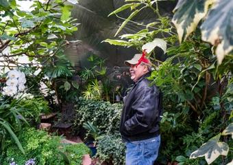 Man standing in a lush forest garden in a growing dome greenhouse