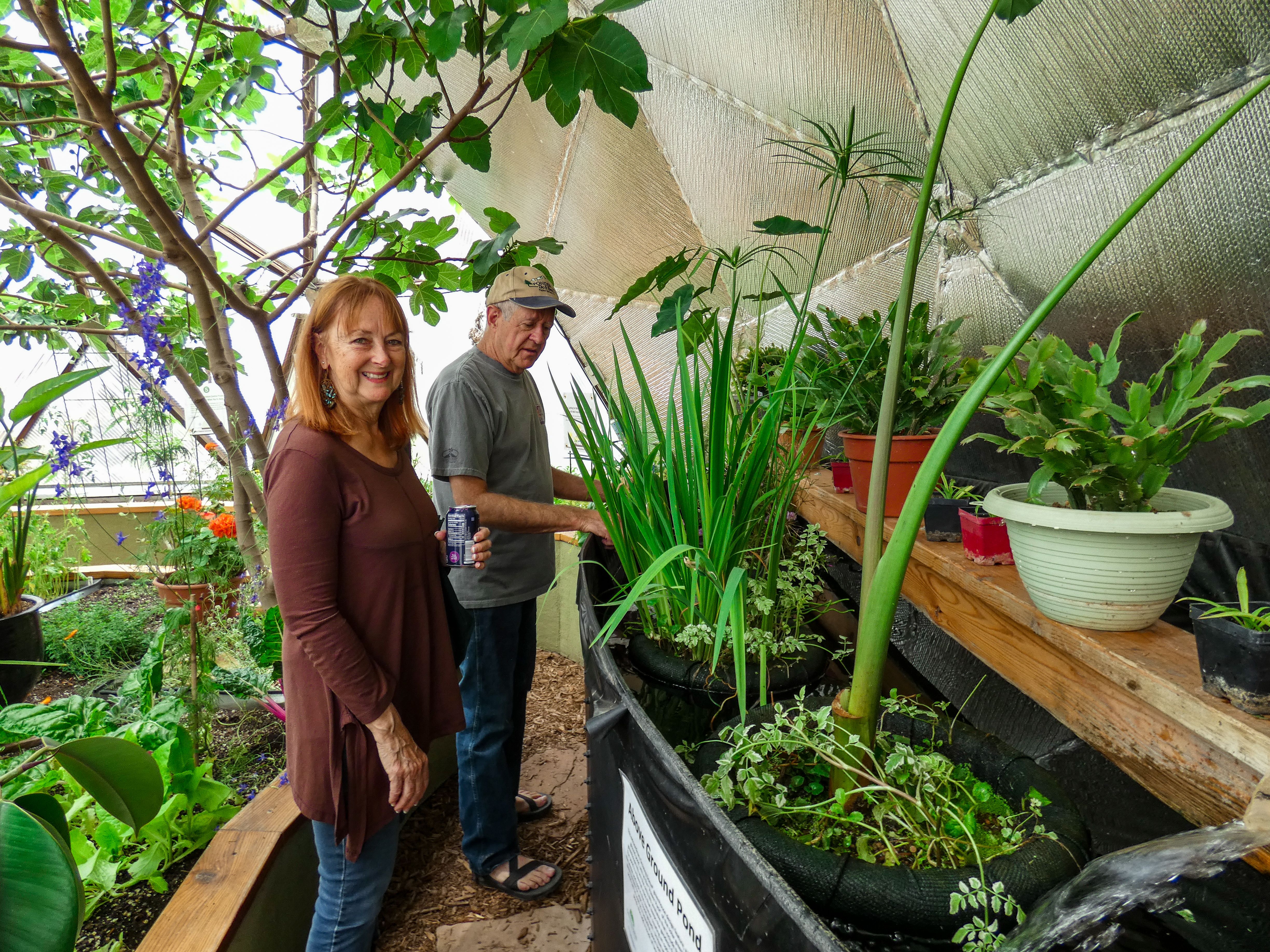 Tour the Growing Domes in Pagosa Springs image