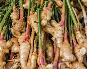 ginger beats cold & flu season